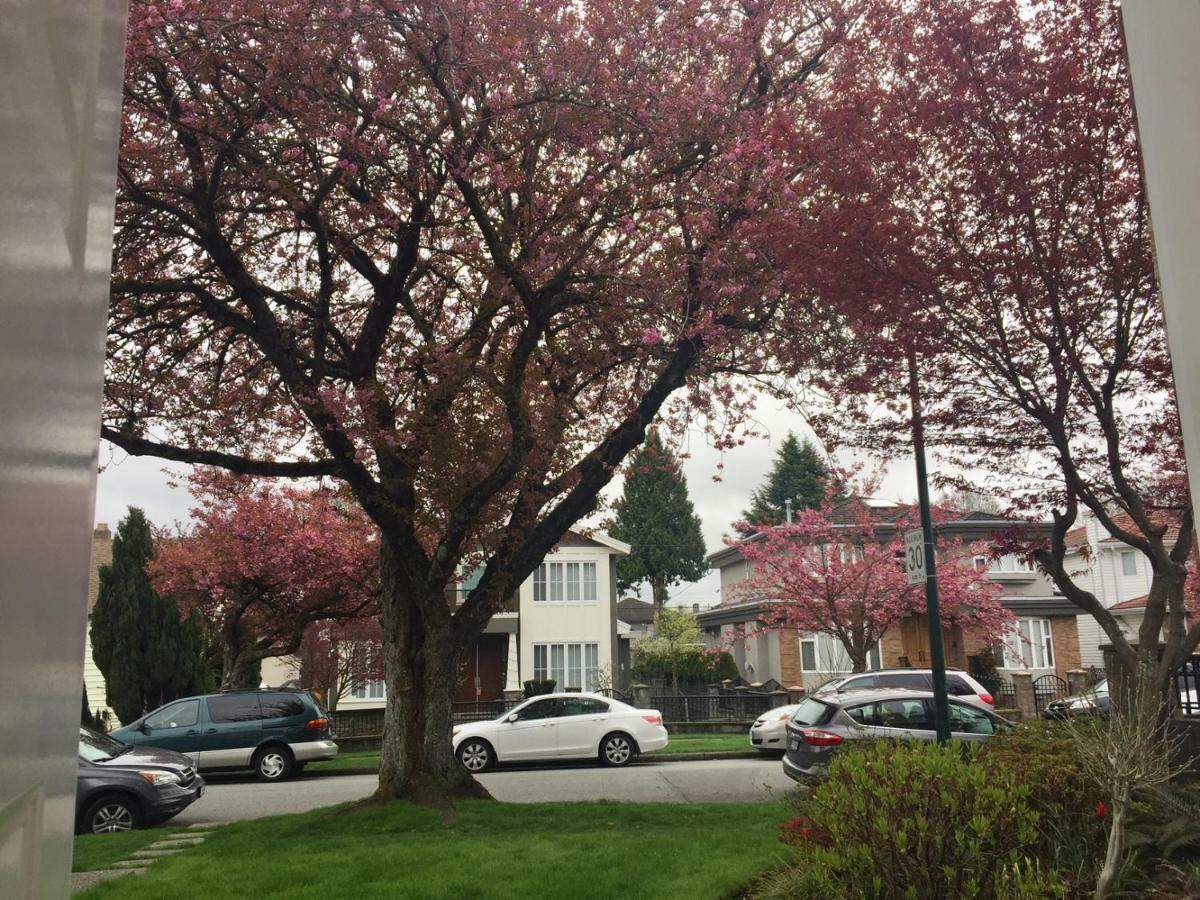 Lee Home Vancouver Buitenkant foto
